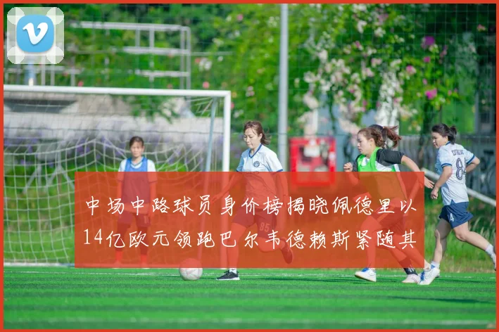 中场中路球员身价榜揭晓佩德里以14亿欧元领跑巴尔韦德赖斯紧随其后